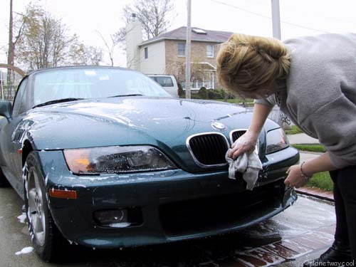 Link to Mick's Rain Washin Pages