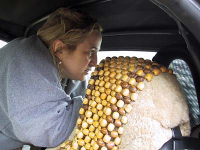 Link to Mick's Rain Washin Pages