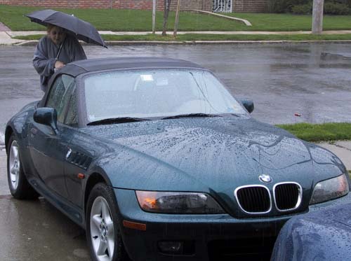 Link to Mick's Rain Washin Pages