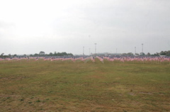 Healing Fields 9-11-07 012