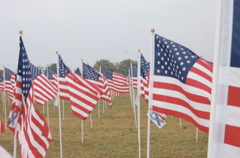 Healing Fields 9-11-07 008