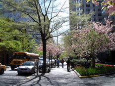 DSC01128